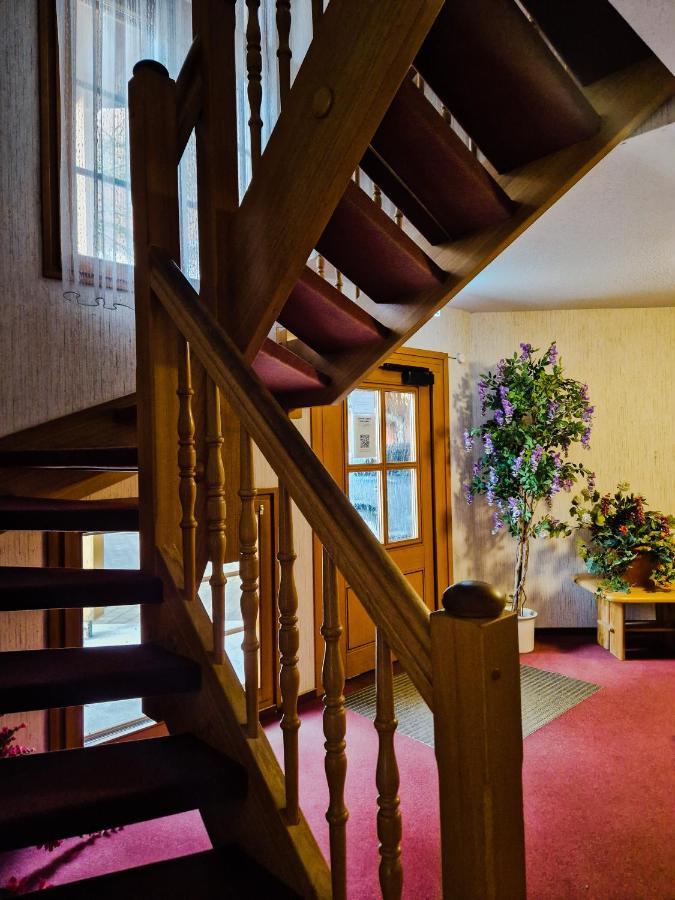 Hostel Zum Loewen تودموس المظهر الخارجي الصورة