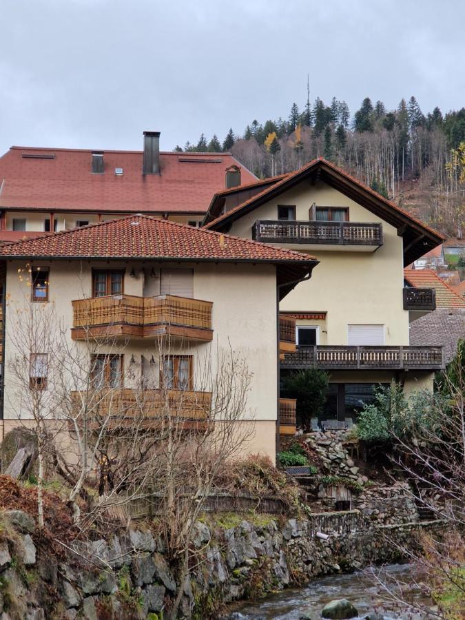 Hostel Zum Loewen تودموس المظهر الخارجي الصورة
